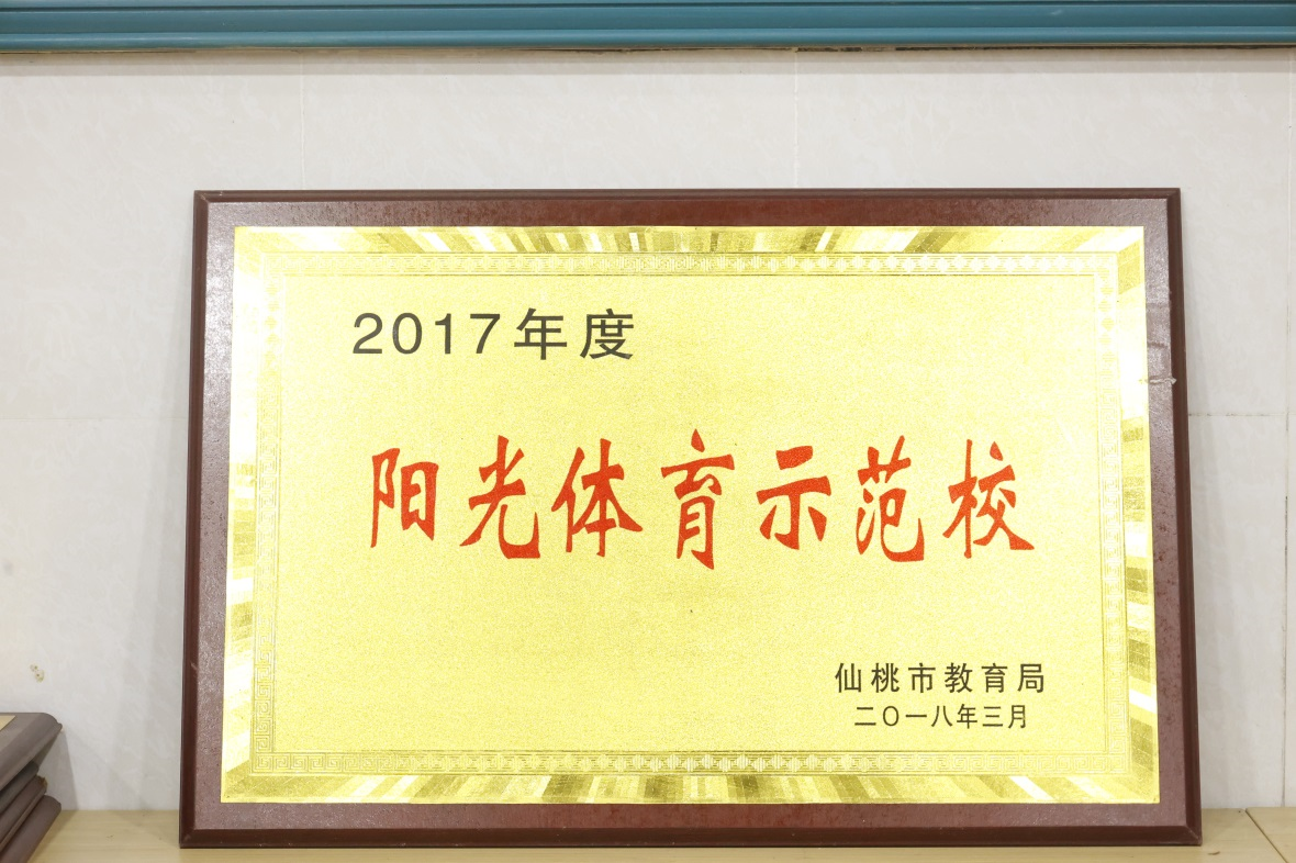 2017年度阳光体育示范校